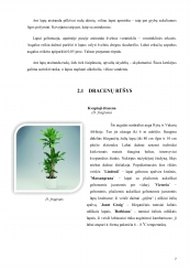 www.speros.lt